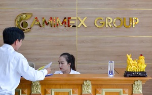 Camimex Group (CMX) dự kiến góp 200 tỷ đồng lập công ty thủy sản công nghệ cao