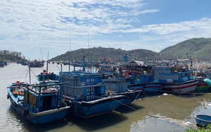 Quảng Ngãi: Dừng hoạt động tất cả các cảng, bến cá để chống dịch Covid-19 