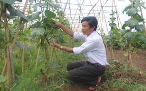 Giúp nông dân Bắc Ninh phục hồi sản xuất sau dịch