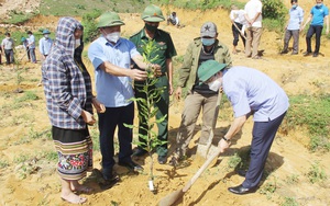 Nghệ An: Hội Nông dân, Đồn Biên phòng ra quân hưởng ứng chương trình trồng 1 tỷ cây xanh “Vì một Việt Nam xanh”