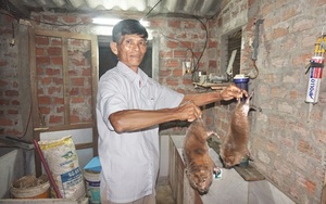 Quảng Nam: Đem con vật lạ về nuôi, nông dân U60 tính chuyện làm giàu