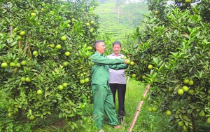 Hà Giang: Đẩy mạnh vai trò hội viên nông dân  trong xây dựng nông thôn mới