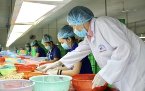 Mỹ, Nga, Trung Quốc vẫn hỏi mua một loại nông sản của Việt Nam, tại sao doanh nghiệp được khuyến cáo phải cẩn trọng?