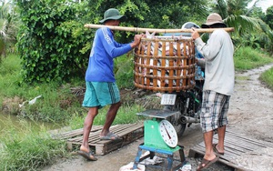 Khẩn trương gỡ khó cho sản xuất, xuất khẩu thủy sản 