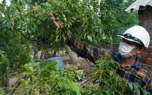 Cuộc thi “Khu dân cư nông thôn mới kiểu mẫu” Quảng Nam: Làng quê tươi đẹp qua những thước phim 