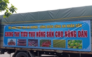 Hải Dương: Hàng chục tấn nông sản được Hội Nông dân tỉnh giúp tiêu thụ vào thị trường Hà Nội