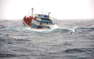  2 ngư dân mất tích, cảnh bão mưa lớn nhiều nơi sau bão số 6