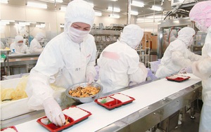 Xuất khẩu lao động Nhật Bản - Ngành chế biến thực phẩm lương cao, nhu cầu lớn
