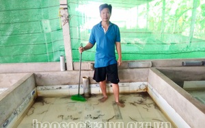 Sóc Trăng: Một ông nông dân hé lộ bí quyết nuôi lươn không bùn đạt tiêu chuẩn xuất khẩu sang thị trường Nhật Bản