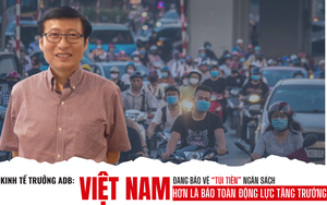 Kinh tế trưởng ADB: Việt Nam đang bảo vệ “túi tiền” ngân sách hơn là bảo toàn động lực tăng trưởng