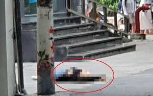 Hà Nội: Cô gái tử vong nghi rơi từ tòa nhà văn phòng xuống đất