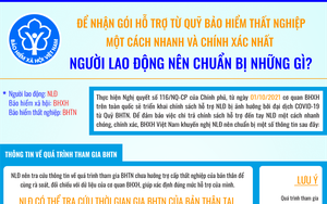 Người lao động nên chuẩn bị gì để nhận hỗ trợ từ Quỹ bảo hiểm thất nghiệp nhanh và chính xác? 