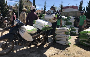 Hội Nông dân Lâm Đồng: Trao 10 tấn phân bón trị giá gần 100 triệu cho người dân