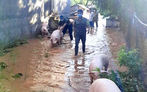 Bình Phước: Vừa chống dịch vừa phải căng mình ứng phó thiên tai