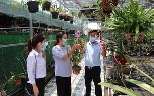 Bà Rịa -Vũng Tàu: Vay vốn trồng hoa lan, nuôi heo rừng, nông dân nghèo đổi vận, có hộ thu 20 triệu/tháng