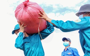 Ninh Thuận: Chiến sĩ áo xanh ra đồng giúp dân vùng phong tỏa thu hoạch lúa 
