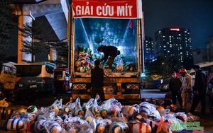 Khôi phục xuất khẩu trái cây tươi, hàng đông lạnh qua cửa khẩu Lào Cai