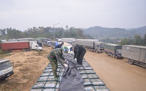 Mỗi ngày vẫn có 120 xe nông sản kéo lên cửa khẩu chờ xuất sang Trung Quốc, Lạng Sơn thông báo dừng tiếp nhận