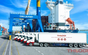 THILOGI phát triển dịch vụ LOGISTICS xuất khẩu sản lượng lớn nông sản