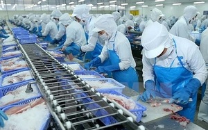 Doanh thu xuất khẩu tháng 12 của "nữ hoàng cá tra" Vĩnh Hoàn (VHC) tăng 66%