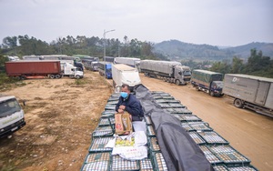 Lạng Sơn: Bắt &quot;cò&quot; mua bán &quot;lốt&quot; xe hàng tại cửa khẩu với giá hàng trăm triệu
