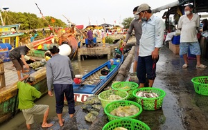 Nơi người dân mua cá không cần hỏi giá, dân phượt sành điệu cũng ít biết chốn này