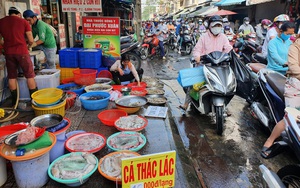 Gần Tết, chợ tự phát bán hàng mỏi tay, chợ truyền thống "vắng tanh như chùa Bà Đanh"