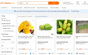 Trên một sàn thương mại điện tử có 26 triệu nhà nhập khẩu, nông sản Việt rất được quan tâm