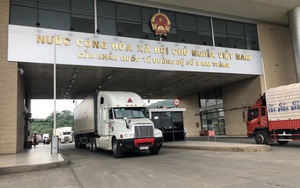 Lào Cai dừng tiếp nhận hàng trái cây tươi xuất khẩu sang Trung Quốc