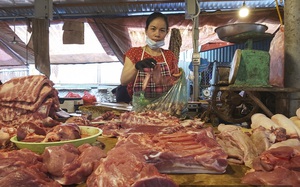 Người dân có thể "bán non" lợn thịt dịp sát Tết Nguyên đán nếu giá tăng cao