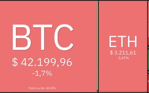 Giá Bitcoin hôm nay 18/1: Bitcoin vẫn lao dốc