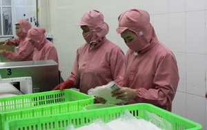 Việt Nam tham gia khu vực thương mại tự do lớn nhất thế giới, nông sản nào được lợi nhất?