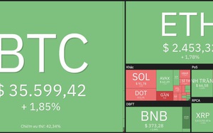 Giá Bitcoin hôm nay 24/1: Bitcoin, Altcoin hồi phục sau một tuần khủng hoảng