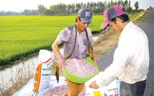Giá phân bón tăng chạm nóc, Bộ trưởng Bộ NNPTNT đề nghị doanh nghiệp giữ cam kết, nông dân dùng tiết kiệm