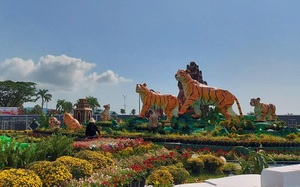 Gia đình Hổ "sum vầy" đón xuân Nhâm Dần tại Bình Định