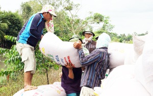 Việt Nam bất ngờ trong &quot;top 8&quot; các nhà nhập khẩu gạo của Ấn Độ