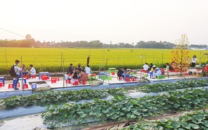 Cần Thơ: Giữa ruộng lúa lại mọc lên quán ăn, thu hút cả trăm người đến ăn, chụp ảnh mỗi ngày