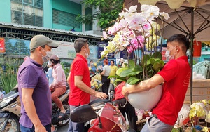 Chợ hoa Tết ngày cuối năm: Lan hồ điệp, hoa ngoại &quot;cháy hàng&quot;