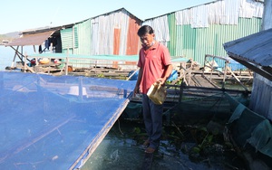 Nuôi cá lồng, đánh bắt cá trên hồ thủy điện Sê San, ai ở Kon Tum nhìn thấy cũng muốn mua ngay