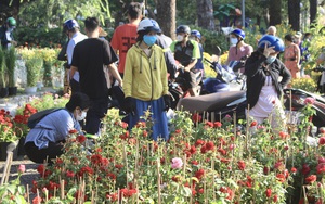 Người Sài Gòn đổ xô mua hoa sáng 29 Tết, đào giảm còn 400.000 đồng/cây vẫn ế