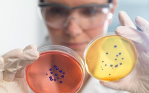 Nghiên cứu mới về "siêu vi khuẩn" có thể cứu 10 triệu mạng người mỗi năm