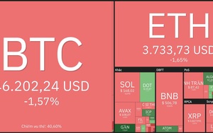 Giá Bitcoin hôm nay 4/1: Bitcoin vẫn đi xuống, một số đồng Altcoin bứt phá