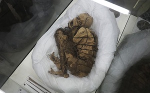 Phát hiện xác ướp trong tư thế 'co quắp' kỳ lạ ở Peru