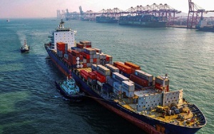 Việt Nam vẫn xuất khẩu thanh long sang Trung Quốc bằng đường biển nhưng các doanh nghiệp phải tuân thủ quy định này