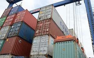 Giá cước vận tải biển tăng 400 - 500%, Bộ NNPTNT đề nghị Bộ Giao thông Vận tải cùng làm ngay một việc