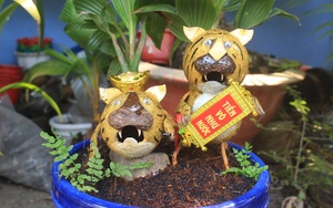 Kỳ công làm bonsai dừa hình hổ bán Tết Nhâm Dần