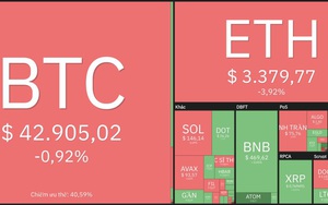 Giá Bitcoin hôm nay 7/1: Bitcoin ổn định vùng 43.000 USD, nhiều Altcoin tăng giá