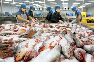 VDSC: Xuất khẩu cá tra kỳ vọng hồi phục quý IV
