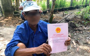 Hàng chục ha đất công thành "đất ông" tại Bình Định: Cựu Chủ tịch xã phải mua lại đất... vì đã chuyển nhượng