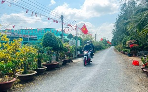 Nông thôn mới ở huyện Châu Thành của An Giang ngày tươi đẹp, bình yên, có tuyến đường hoa ai cũng mê